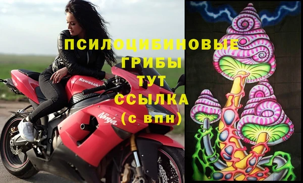mdpv Гусь-Хрустальный