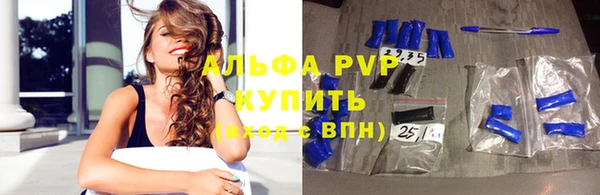спиды Горняк