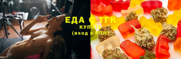 спиды Горняк