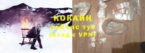 спиды Горняк