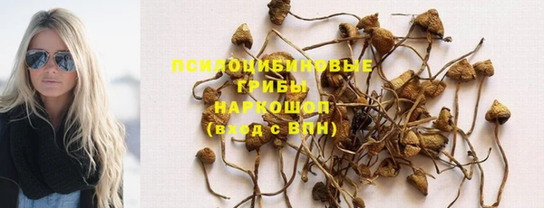 мяу мяу мука Горнозаводск