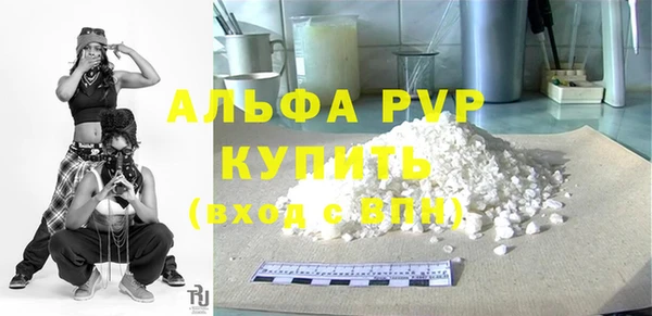 спиды Горняк